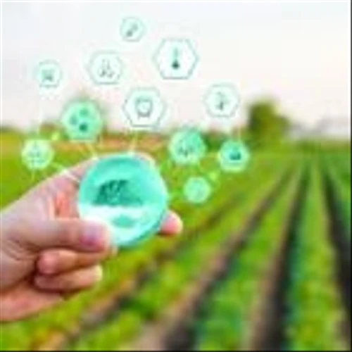 AVO vs. AGRO: Which Agri Stock Has Better Long-Term Growth Potential?
