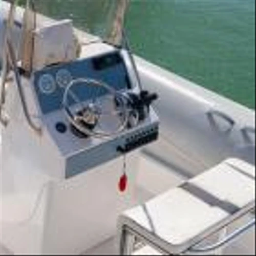 Bear of the Day: MarineMax (HZO)