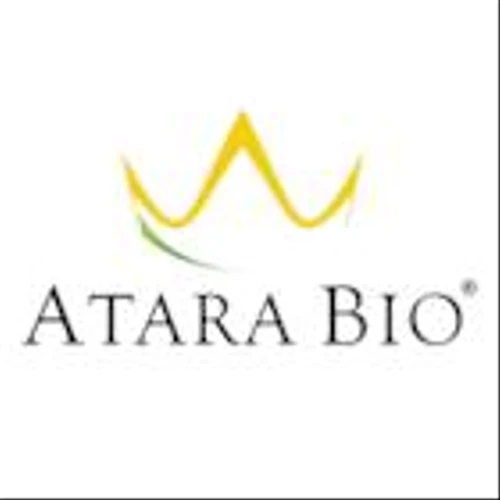 Atara Biotherapeutics Announces Fourth Quarter and Full Year 2024 Financial Results and Operational Progress