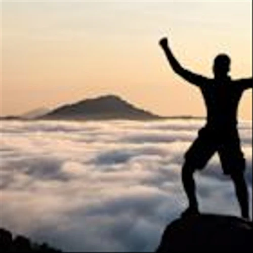 Plains All American Q3 Earnings Beat Estimates, Sales Decline Y/Y