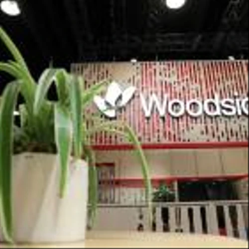 Woodside sees $1.2 billion US LNG play paying off as Trump policies drive deals