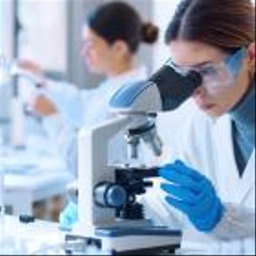 Vera Therapeutics' Atacicept Shows Sustained, Substantial Improvement In Kidney Function For Patients At Almost Two Years