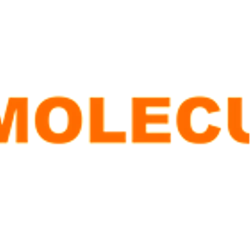 Moleculin Reports First Quarter 2025 Financial Results and Provides Corporate Update