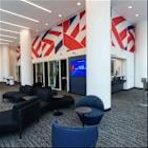 BofA Reworks Credit Cards to Fuel Ambitious Consumer Profit Plan