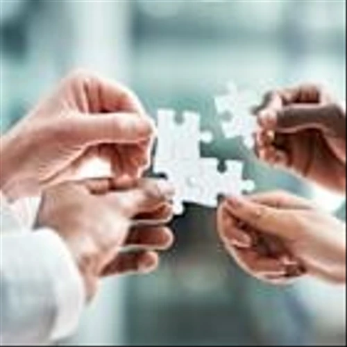 The Best Stocks to Buy With $1,000 Right Now