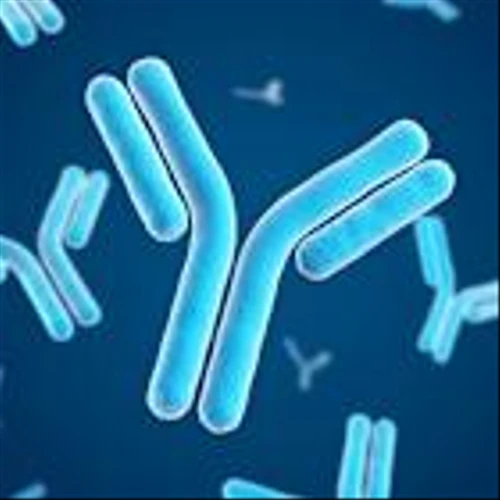 Immunovant claims study success for immune disease drug but holds off on submission