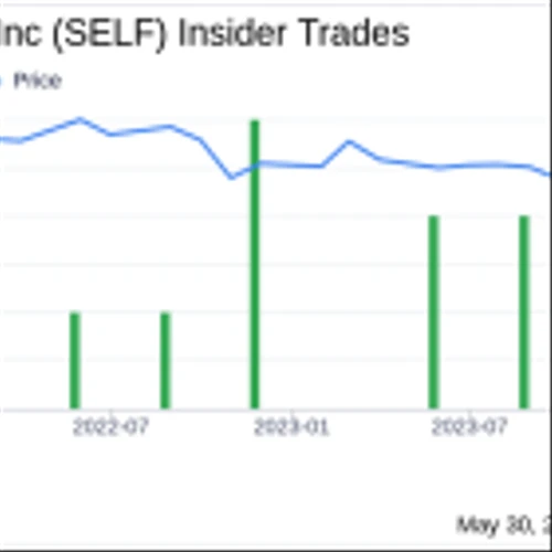 Insider Buying: President and CEO Mark Winmill Acquires Shares of Global Self Storage Inc (SELF)
