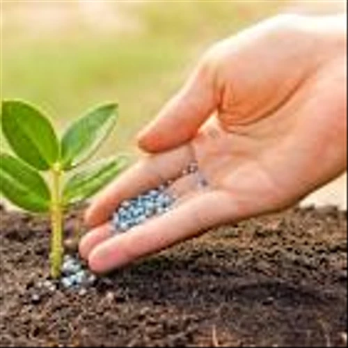 Bunge Global SA (BG) and Glencore-back Viterra Merger Receives Conditional Approval from China