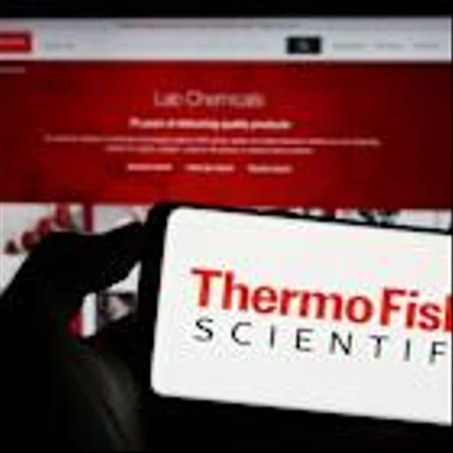 Is Wall Street Bullish or Bearish on Thermo Fisher Scientific Stock?