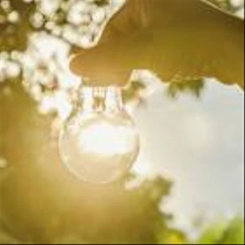Canadian Solar Posts Wider Q4 Loss, Reaffirms 2025 Outlook Amid Fierce Industry Headwinds
