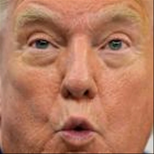 Coinbase, Circle, SRM lead stock rally as Trump cheers GENIUS Act in another dream week for crypto