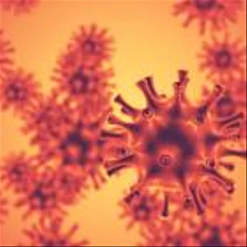 Top 100 Stocks to Buy: Two Penny Stocks Moved Up 51 Spots. Should You Buy Either?