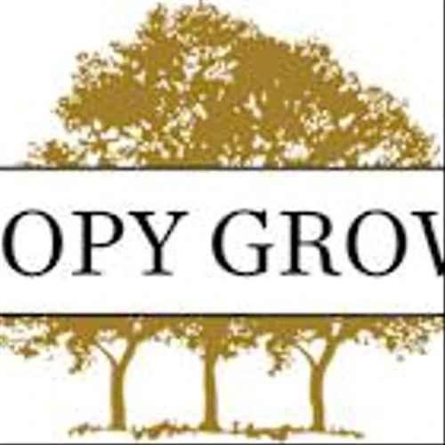 Canopy Growth Strengthens Balance Sheet with Optional Early Prepayment to Reduce Term Loan by US$100 Million