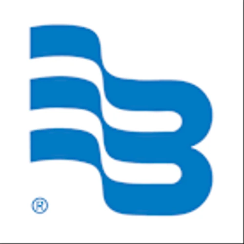 Badger Meter Inc (BMI) Q1 2025 Earnings Call Highlights: Strong Revenue Growth and Record ...