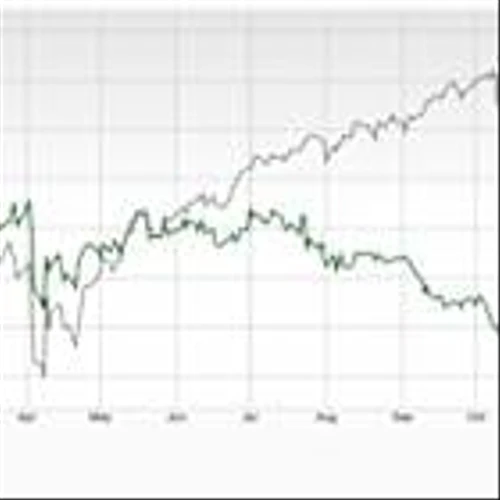 Bear of the Day: Jack in the Box (JACK)