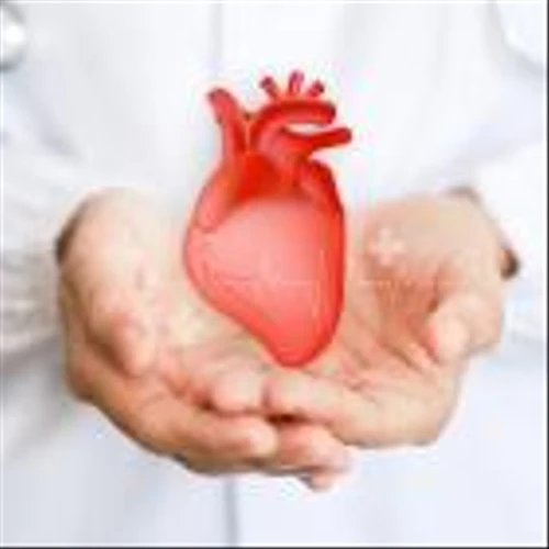 Adagio Medical announces Todd Usen as new CEO and director