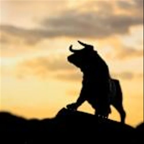 2 Top Bargain Stocks Ready for a Bull Run
