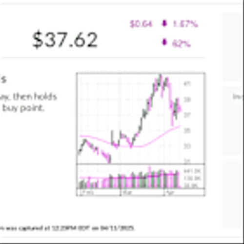 Stock Of The Day Holds Up As Insurance Stocks Keep Lofty Ranking