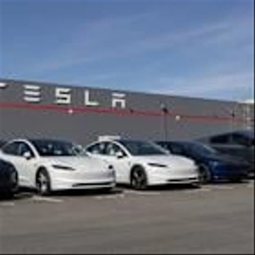 Tesla China FSD Timeline Gets Pushback After Musk Davos Comments