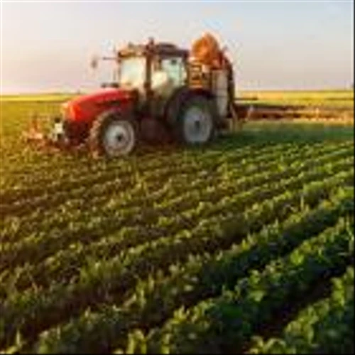 Fresh Del Monte Produce's (NYSE:FDP) investors will be pleased with their notable 38% return over the last year