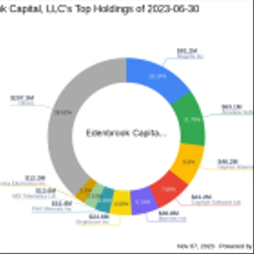 Edenbrook Capital, LLC Boosts Stake in Brightcove Inc