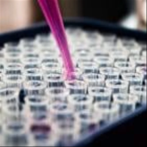 What's Going On With Dermatitis-Focused RAPT Therapeutics Stock On Thursday?
