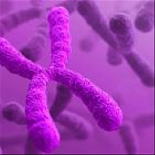 Ultragenyx, Mereo Hammered For Their Surprise Miss In Brittle Bone Disease