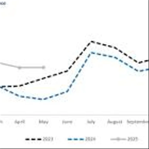 Corporación América Airports S.A. Reports May 2025 Passenger Traffic