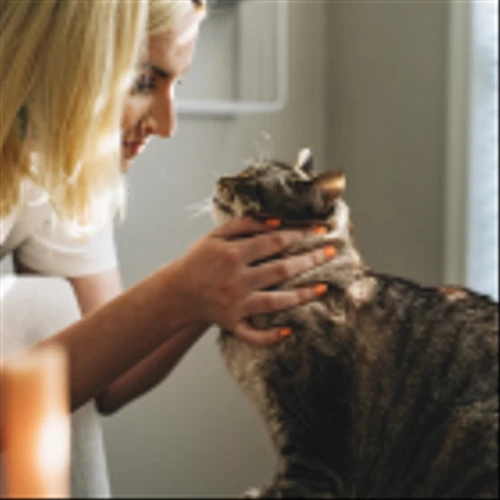 Inspire Veterinary Partners (NASDAQ: IVP): Empowering Veterinary Professionals Through Its Employee-Oriented Ownership Model