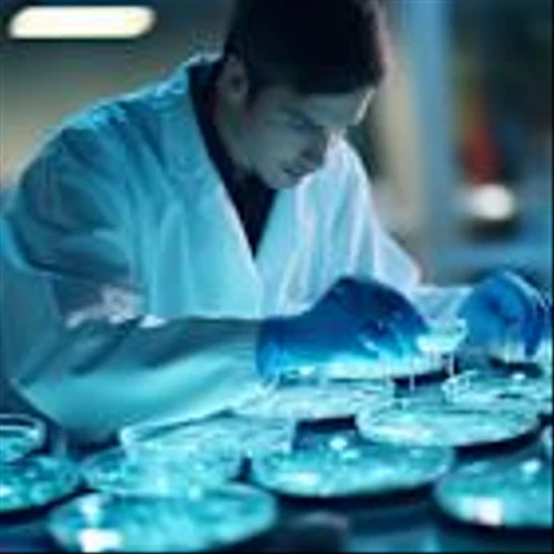 Wall Street Forecasts 42.31% Upside To Terns Pharmaceuticals, Inc. (TERN)