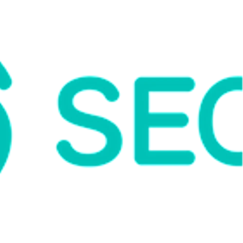 SEON Closes $80 Million Series C Led by Sixth Street Growth to Scale Command Center for Fraud Prevention and AML Compliance as Digital Fraud Set to Exceed Billions Annually
