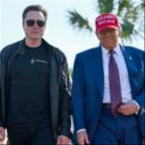 ‘MAGA cockroaches’: The Left-wing ‘echo chamber’ rivalling Elon Musk’s X
