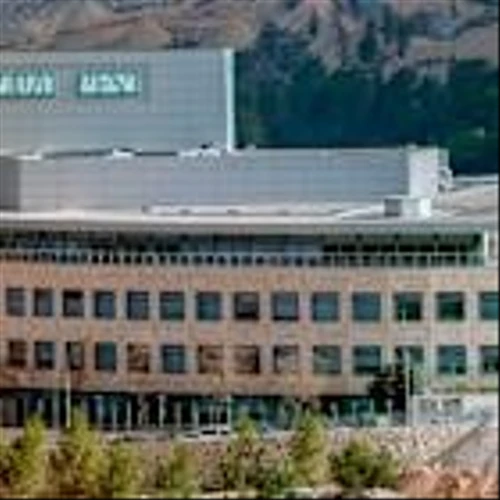 Teva Stock Is Jumping. Why Investors Are So Optimistic on the Drugmaker.