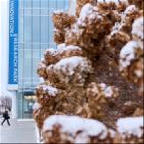 Rosalind Franklin University's Helix 51 Incubator Welcomes Monopar Therapeutics
