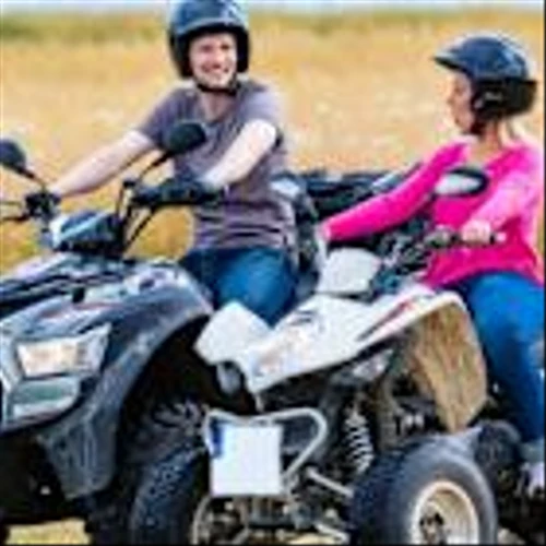 With 69% ownership of the shares, American Outdoor Brands, Inc. (NASDAQ:AOUT) is heavily dominated by institutional owners
