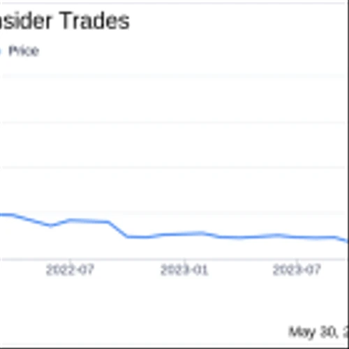 Insider Buying: CEO James Ballengee Acquires Shares of Vivakor Inc (VIVK)