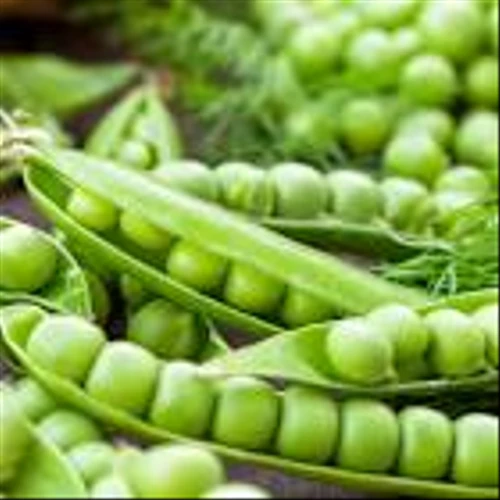 Two Food Stocks Soar On Massive Deal News As Defensive Play Hits New Highs