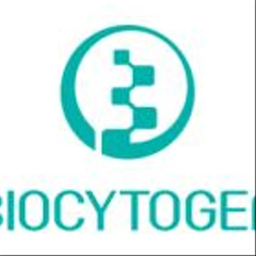 Biocytogen Announces Option and License Agreement with IDEAYA Biosciences for Potential First-in-Class B7H3/PTK7 Topo-I-Payload Bispecific ADC Program