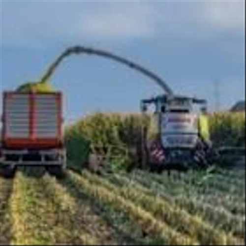 American Rare Earths partners with University of Wyoming