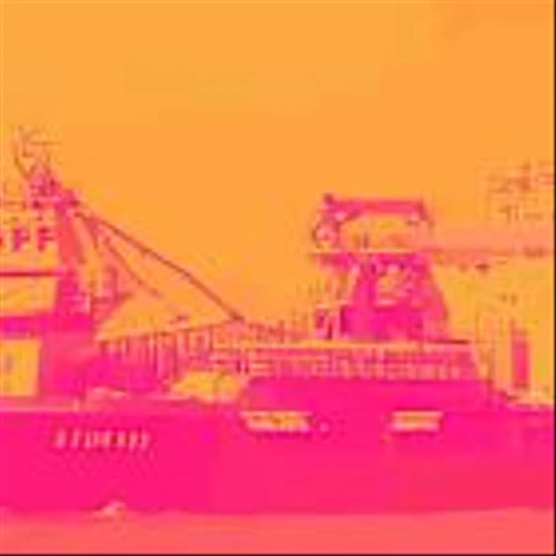 1 Surging  Stock with Solid Fundamentals and 2 We Brush Off