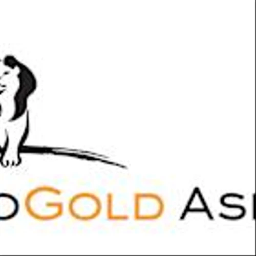 AngloGold Ashanti and Gold Fields Agree to Pause Proposed Ghana JV Discussions