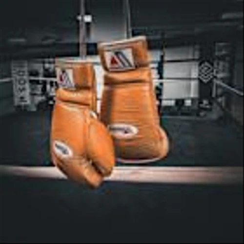 Boxing Aficionado and Tech CEO Dan Herbatschek Believes Boxing's Move to Netflix Signals a Historic Shift Away from the Pay-Per-View Model