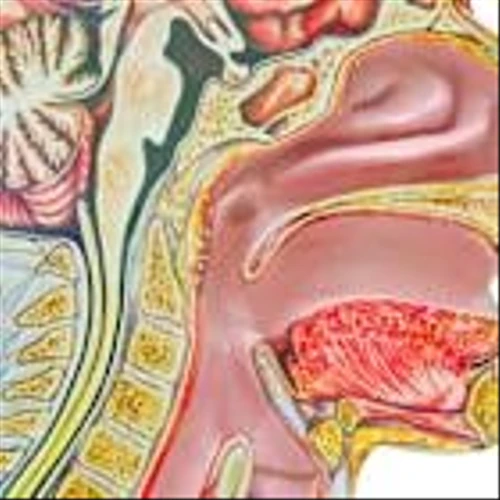 ASCO 2025: Merus wins in head-to-head with Bicara for head and neck cancer