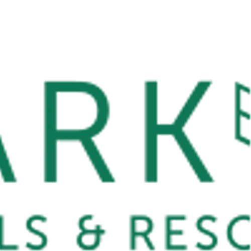Park Hotels & Resorts Inc (PK) Q3 2024 Earnings Call Highlights: Strong RevPAR Growth Amid ...