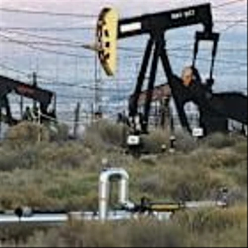 Oil Prices Crashed This Year. Why the Stocks Have Held Up.