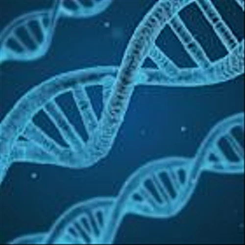 BMO Reaffirms Outperform on CRISPR Therapeutics (CRSP) After Sirius Collaboration