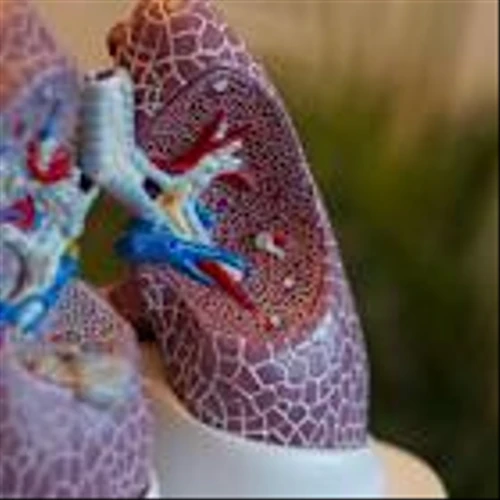 Lung Disease Breakthrough Boosts United Therapeutics — and its Rivals