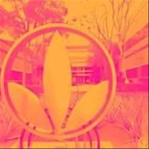 3 Overrated  Stocks Walking a Fine Line