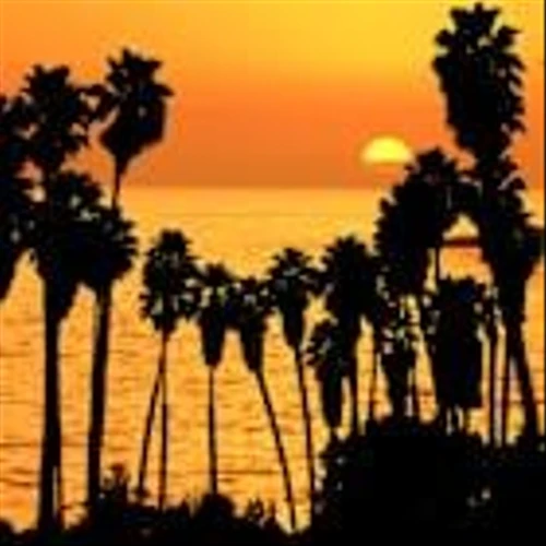 Park Hotels Announces Non-Core Dispositions, Provides Operating Update