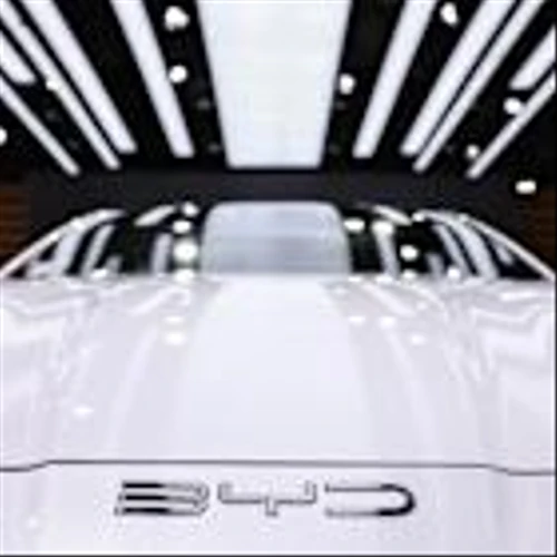 Exclusive: BYD to delay mass production at new Hungarian plant, make fewer EVs, sources say